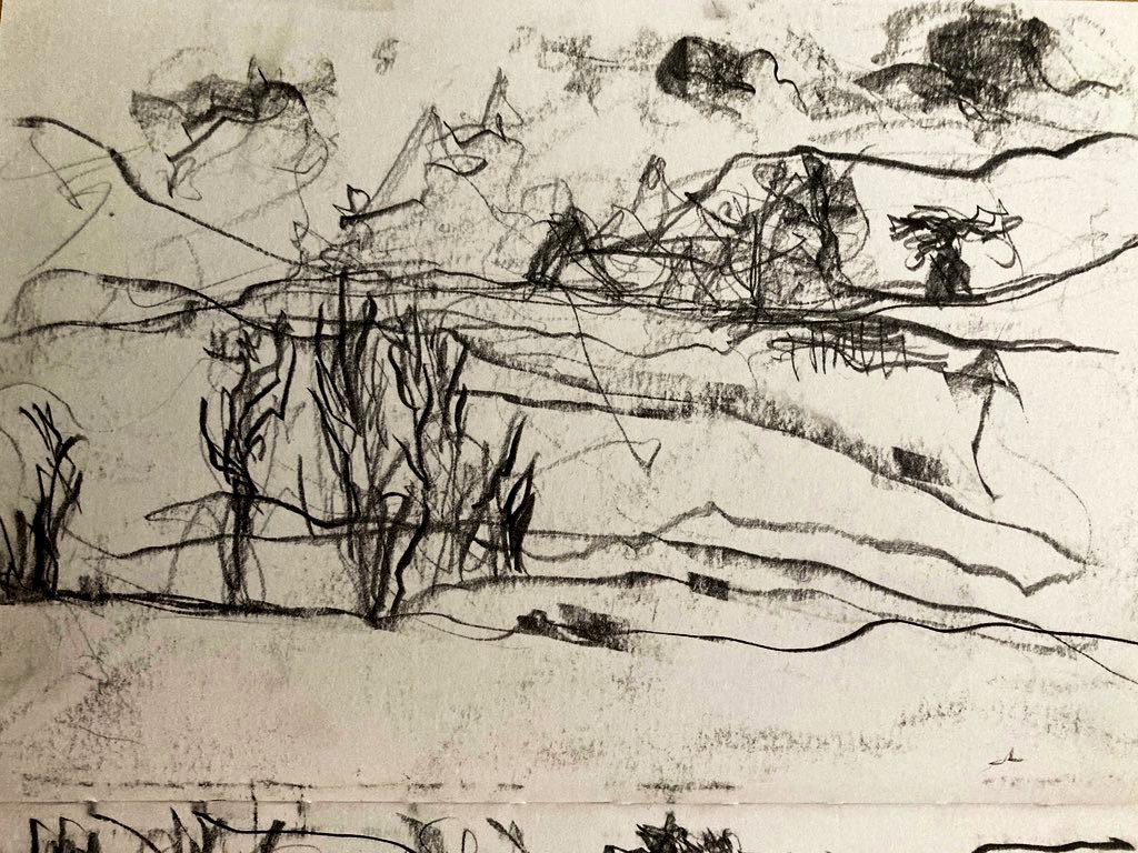 NicholaScrutton's tweet image. Fast sketching on the train. #drawing #sketching #motion #lookingout #fastsketch #sketchbook #landscape #reflection #quiet #reflecting