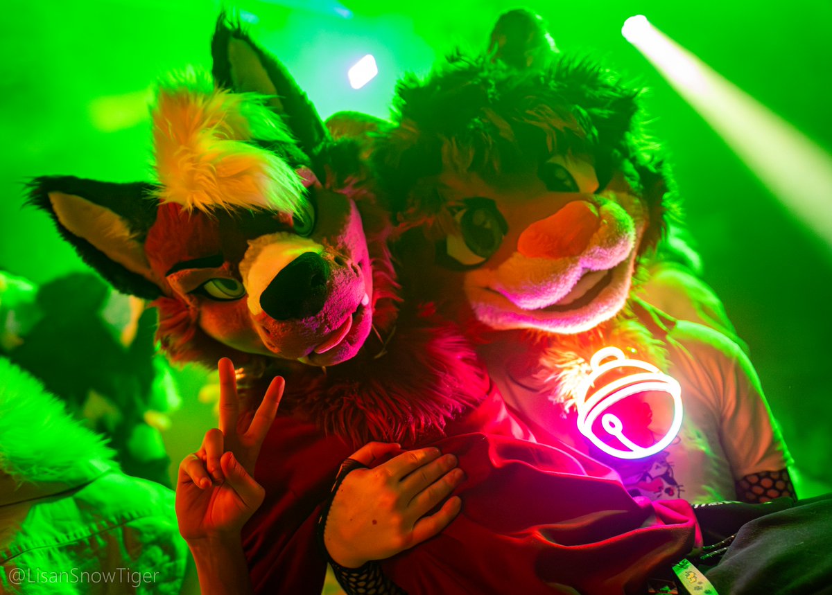 Who said that cats and dogs don't get along very well?! 🪩

🐱<a href="/dennipoes/">Denni</a>
📸<a href="/LisanSnowTiger/">Lisan | @LisanSnowTiger.bsky.social</a>
#FursuitFriday