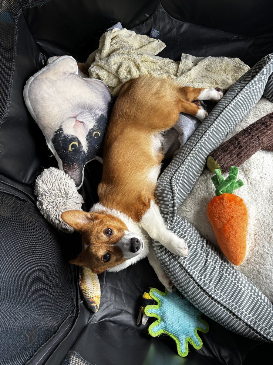 6 months old today! 🦀 🍏