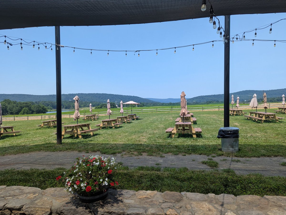 MD VOLT INC. ꈌ tweet media