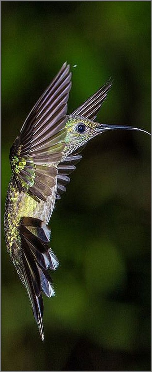 Great photography.🥰🥰
