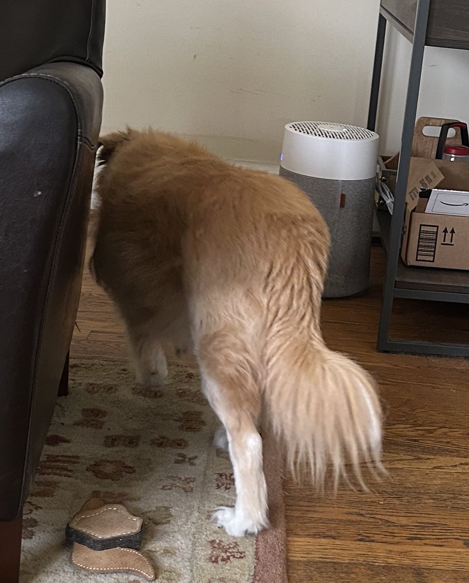 AlfredoHatesLy's tweet image. Do I have ana butt …
