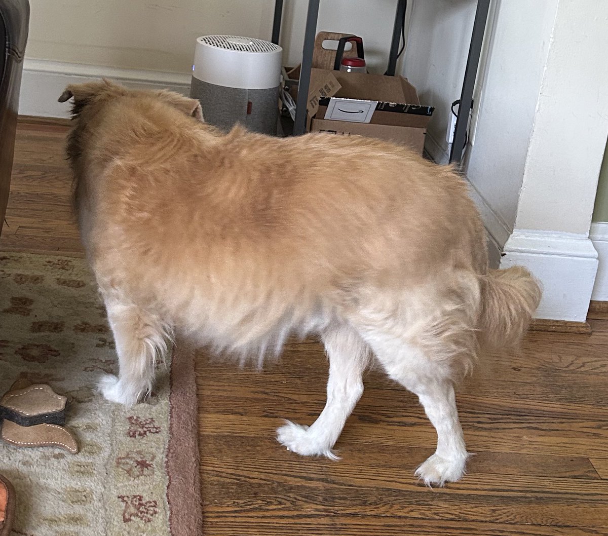 AlfredoHatesLy's tweet image. Do I have ana butt …