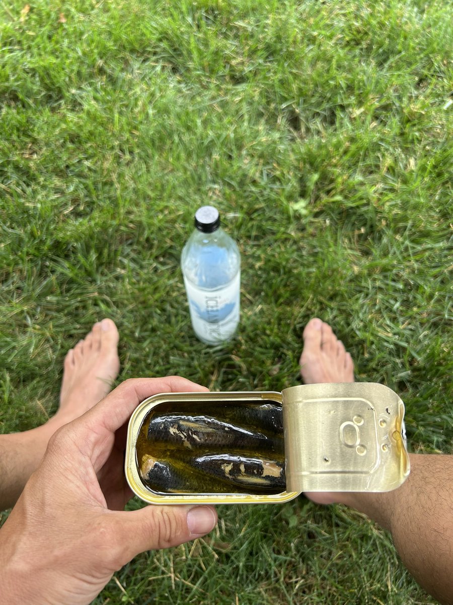 Another day of light, water, magnetism, and tasty sardines! IYKYK

Happy 4th of July!