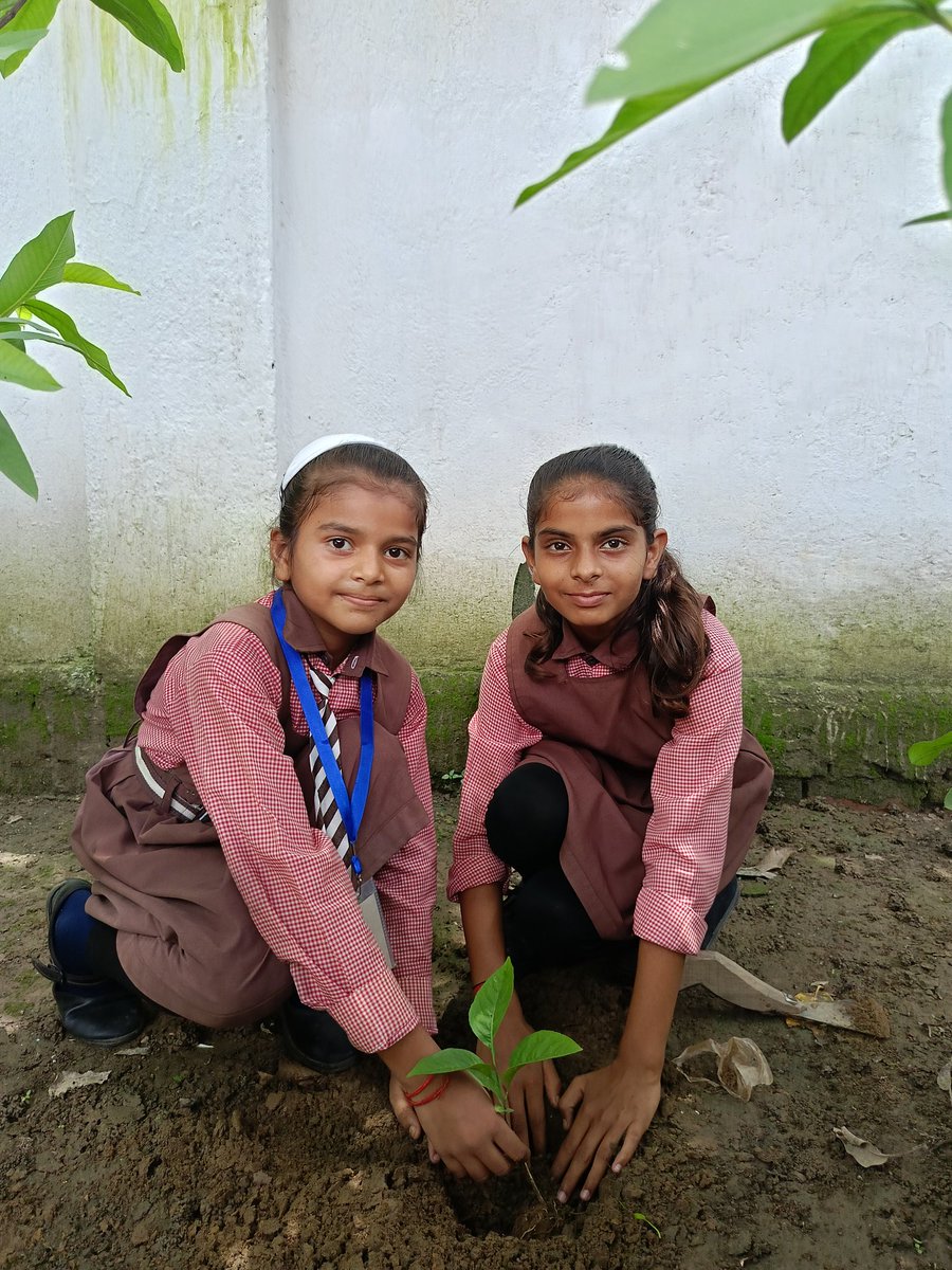 🌳 #प्रकृति_मित्र 🌳
 Ruchi Sharma,
Composite School Pitambarpur, Nawabganj, Bareilly
<a href="/shikshansamvad/">मिशन शिक्षण संवाद @shikshansamvad</a>  <a href="/teachersclubup/">teachers club</a> <a href="/UNEP/">UN Environment Programme</a> <a href="/eriksolheim/">Erik Solheim</a> <a href="/myogiadityanath/">Yogi Adityanath</a> <a href="/narendramodi/">Narendra Modi</a> <a href="/DEFCCOfficial/">Department of Environment, Forest & Climate Change</a> <a href="/basicshiksha_up/">Department Of Basic Education Uttar Pradesh</a> <a href="/Rupendersingh02/">Rupender Singh MSS</a>
साभार- टीम प्रकृति मित्र 
मिशन शिक्षण संवाद
#ekpedmaakenaam2