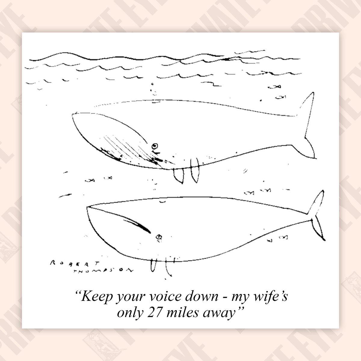 Private Eye Magazine tweet media