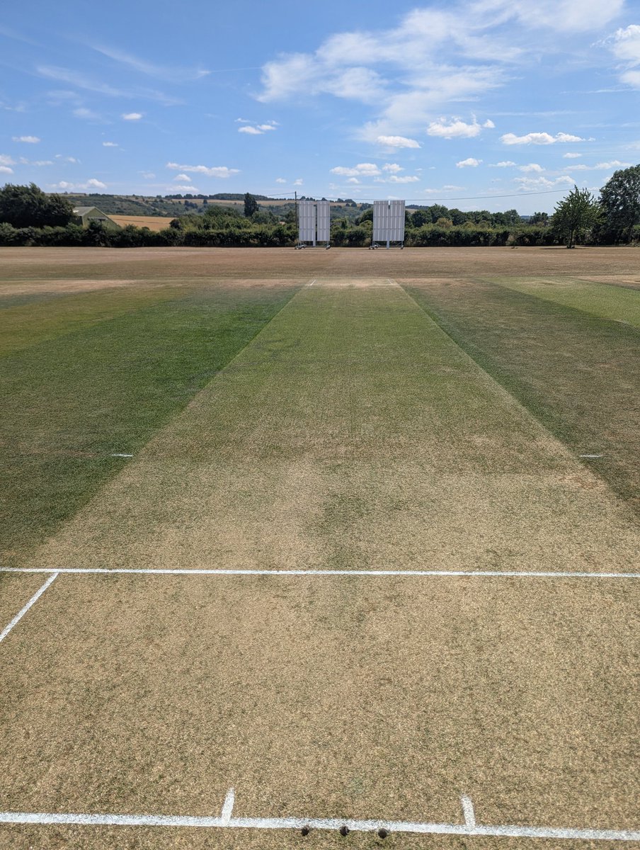 Truebounce tweet media