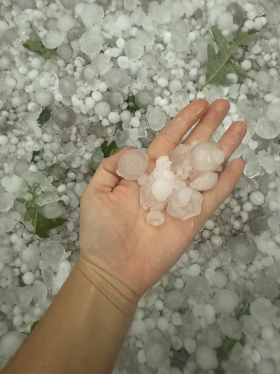 SweeetTails's tweet image. Mother Nature chose to be the biggest bitch yesterday. First off, myself and all the animals are ok. Yesterday was the first time I’ve ever been through something like this. Here in Connecticut we got hit with pretty much a microburst right over my house and my neighbors. Besides…