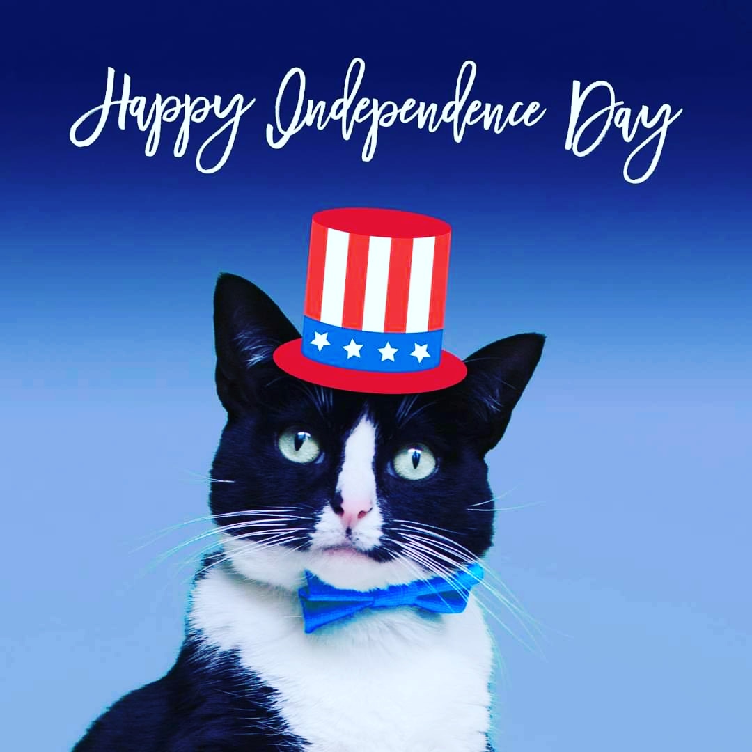 To all my followers 🇺🇸