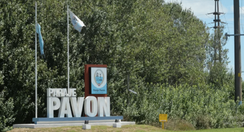 criterioonline.com/2025/07/violen…