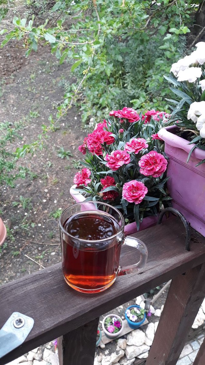 "Dilimin ucunda bir eski  arkadaş adı
Unutulmuş şekilleri taşıyan bulutlar;
Bir gökyüzü genişliğiyle ruhuma dolar
Otların içine sırtüstü yatmanın tadı..."

Orhan Veli
...

#MutluAkşamlar
#huzurla
#Cuma
#Haftasonu

☕🦋🍃🇹🇷