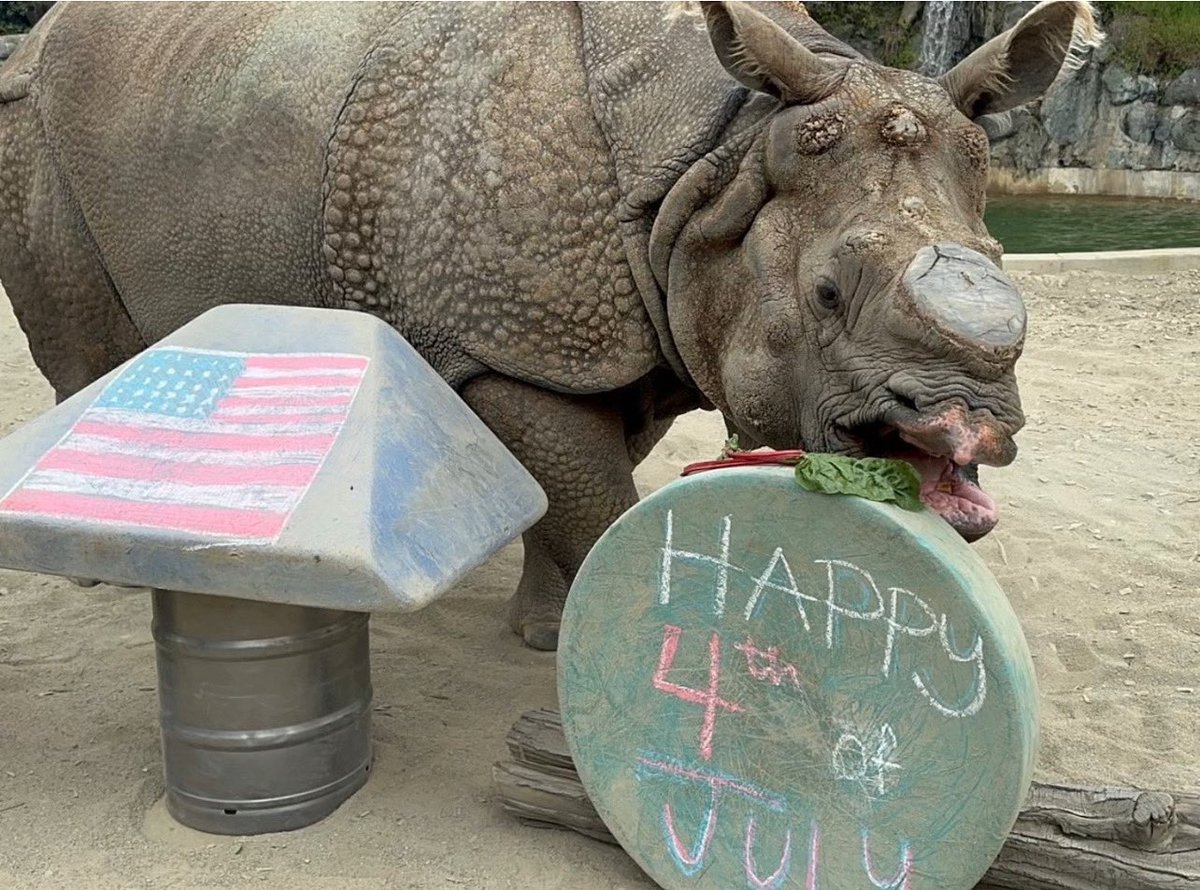 sfzoo's tweet image. Happy Fourth of July! We are open today (and every day!). 🇺🇸