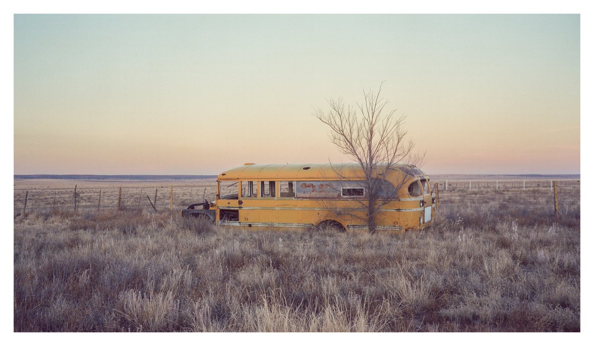 Clamour. 

Shot with medium format film. 16x9 format.