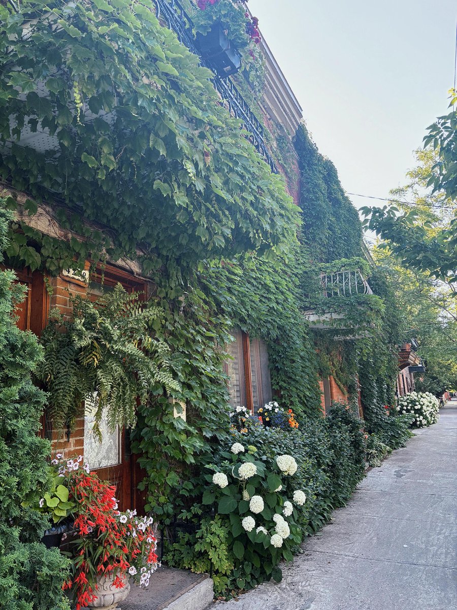 a_mann55's tweet image. 😊😊😊