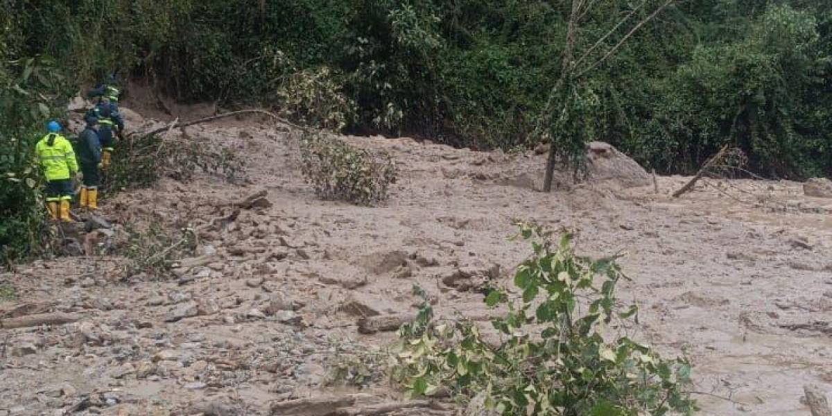 #Ecuador: "Cielos parcialmente nublados en Costa, Sierra y disminución de lluvias en la Amazonía, según INAMHI ecuavisa.com/noticias/ecuad…"