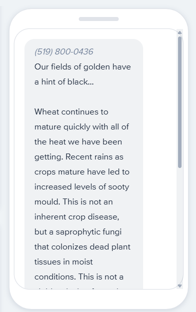 wansteadfarmers's tweet photo. For more crop updates like this- sent DIRECTLY to your phone, text "Agro" to 519-800-0436. https://t.co/OqAAb267zF