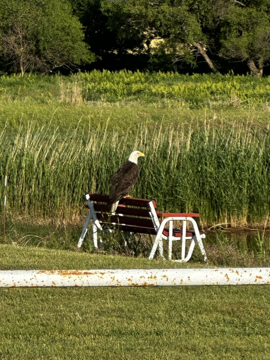 Happy 4th of July! If u don’t love this country then get out!