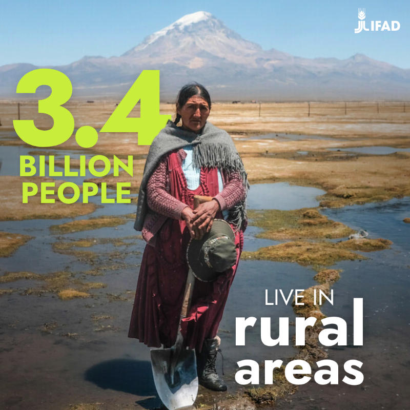 IFAD's tweet photo. To celebrate the first-ever #RuralDevelopmentDay, here are 4 facts about rural development you (probably) didn’t know!

#RDD #InvestInRuralPeople