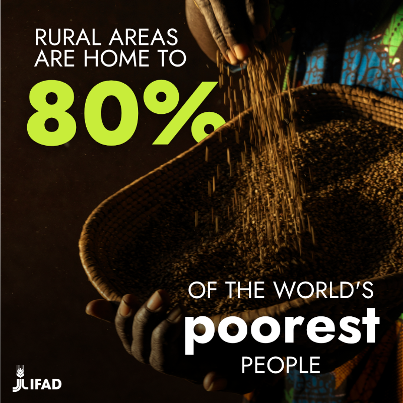 IFAD's tweet photo. To celebrate the first-ever #RuralDevelopmentDay, here are 4 facts about rural development you (probably) didn’t know!

#RDD #InvestInRuralPeople