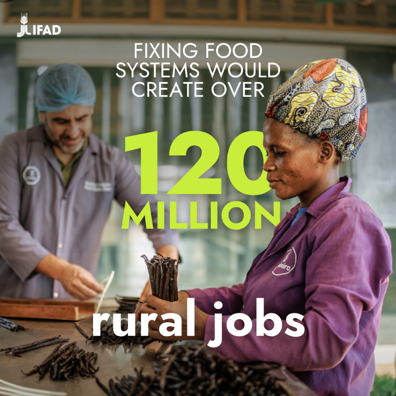 IFAD's tweet photo. To celebrate the first-ever #RuralDevelopmentDay, here are 4 facts about rural development you (probably) didn’t know!

#RDD #InvestInRuralPeople
