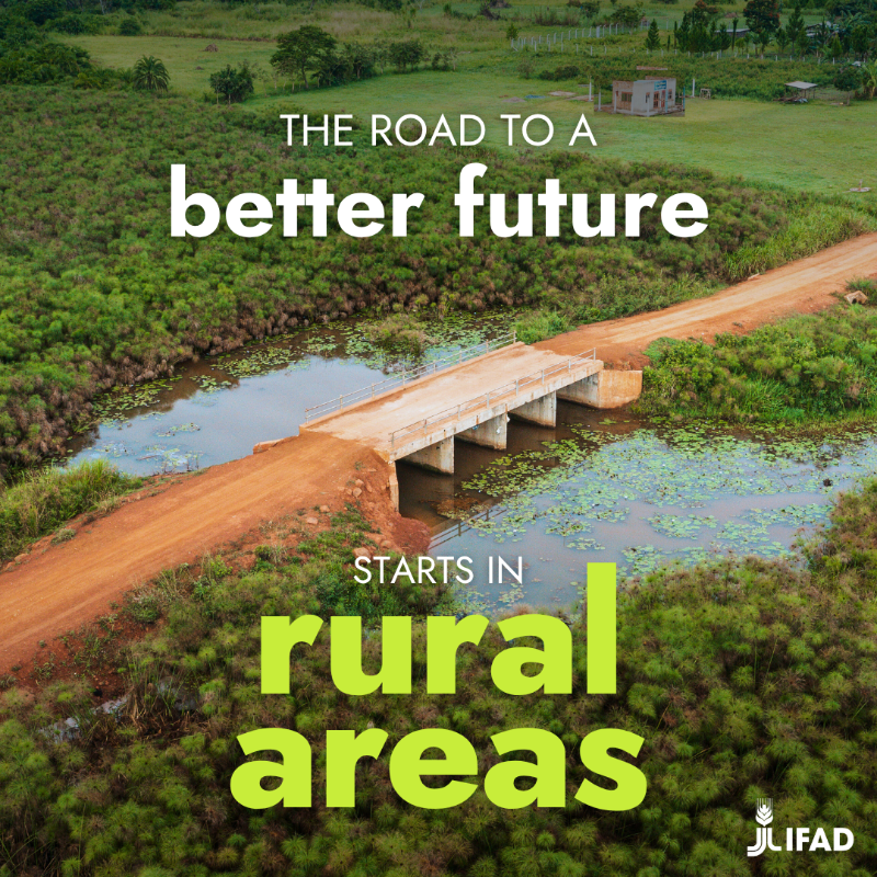 IFAD's tweet photo. To celebrate the first-ever #RuralDevelopmentDay, here are 4 facts about rural development you (probably) didn’t know!

#RDD #InvestInRuralPeople