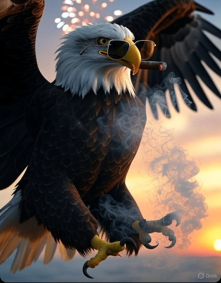 Peter Doran (@peterbdoran) on Twitter photo HAPPY 4TH OF JULY! 🇺🇸 🎇 HAPPY 4TH OF JULY! 🇺🇸 🎇