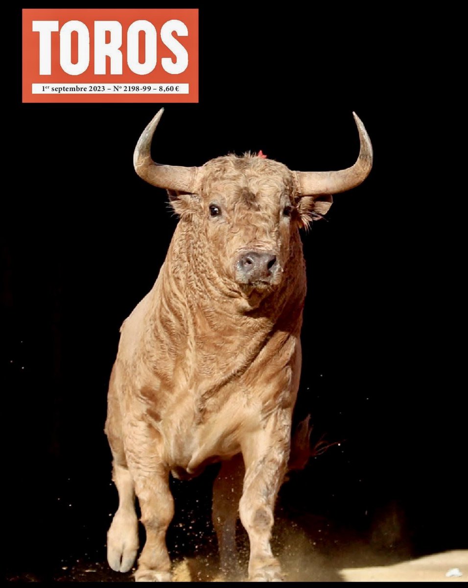 DESJARRETE DE ACHO tweet media