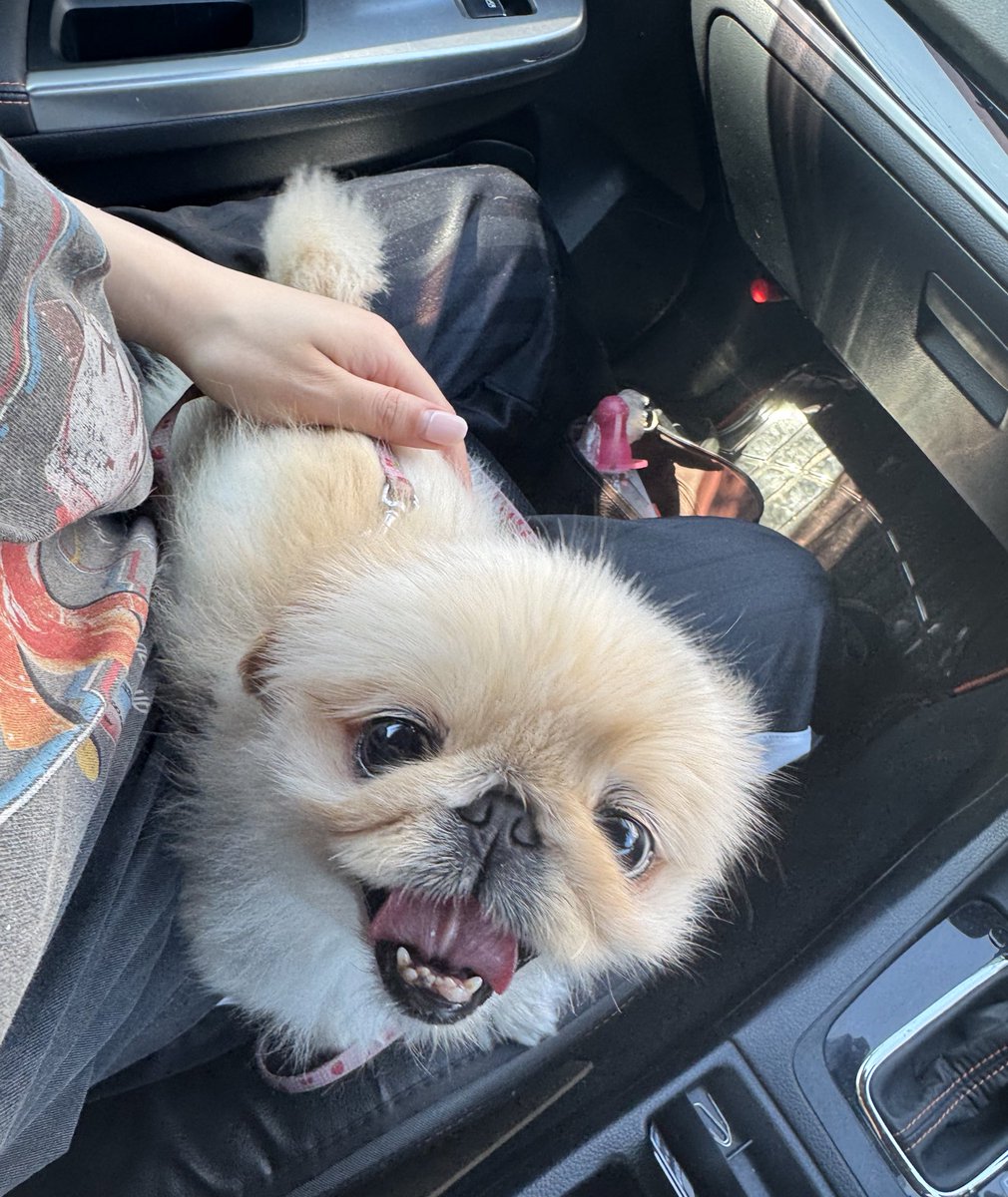 ぺこたんとエメ tweet media