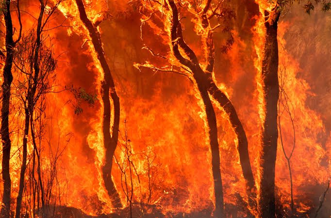 Azıcık itibardan tasarruf edebilseydik bugün yüzlerce yangın söndürme uçağımız olabilirdi.

Yanan yeşil vatan kalbiniz sızlıyor mu?
#yangın