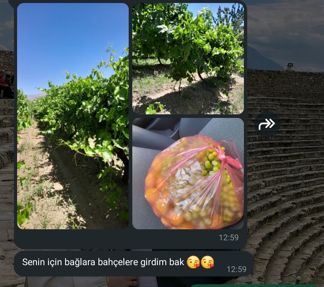 Dün eşime canım aşırı üzüm çekiyor demiştim,
Bugün gelen mesaj;🥰🥹🥰
(Henüz ermemişte olsalar o üzüm yenilecek😍)