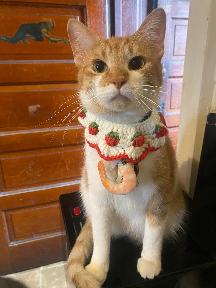 Happy Birthday My Daughter Shrimp 🎂🎈🎁🎉💋💋 Happy 4 July