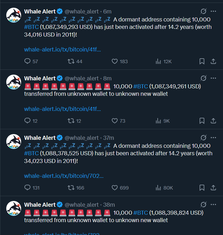 مستثمر العملة الرقمية بيتكوين tweet media