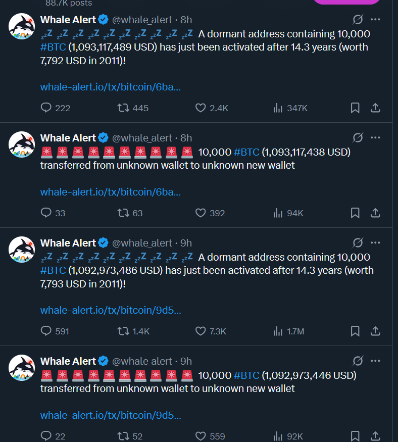 مستثمر العملة الرقمية بيتكوين tweet media