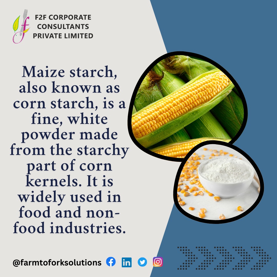 FarmtoForkSolu1's tweet photo. Maize starch magic! 🌽✨ Did you know it's used in food, textiles, and even pharmaceuticals? 🤔 From thickening agents to biodegradable plastics, maize starch is a versatile wonder! 🌟 #MaizeStarch #Sustainability #Innovation https://t.co/p7ZQy4kSbk