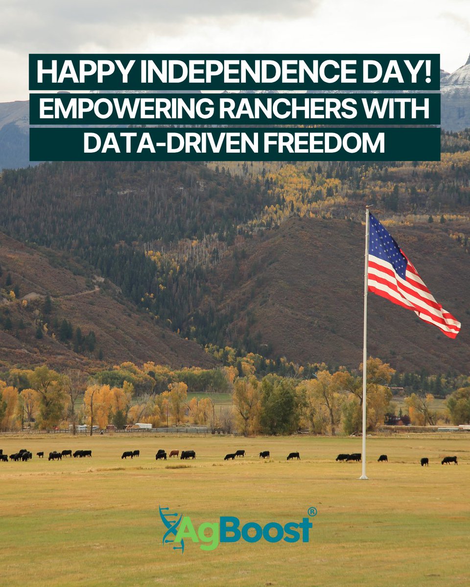 Happy Fourth of July! 🇺🇸 Today we celebrate independence and the ranchers who embody it. With AgBoost, they're taking charge of their data and future. Cheers to resilience and the ones who feed us all! #AgBoost #CattleRanching