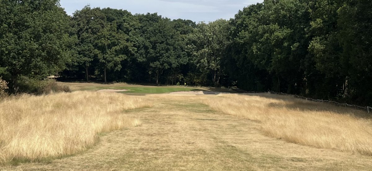 sam wardill tweet media