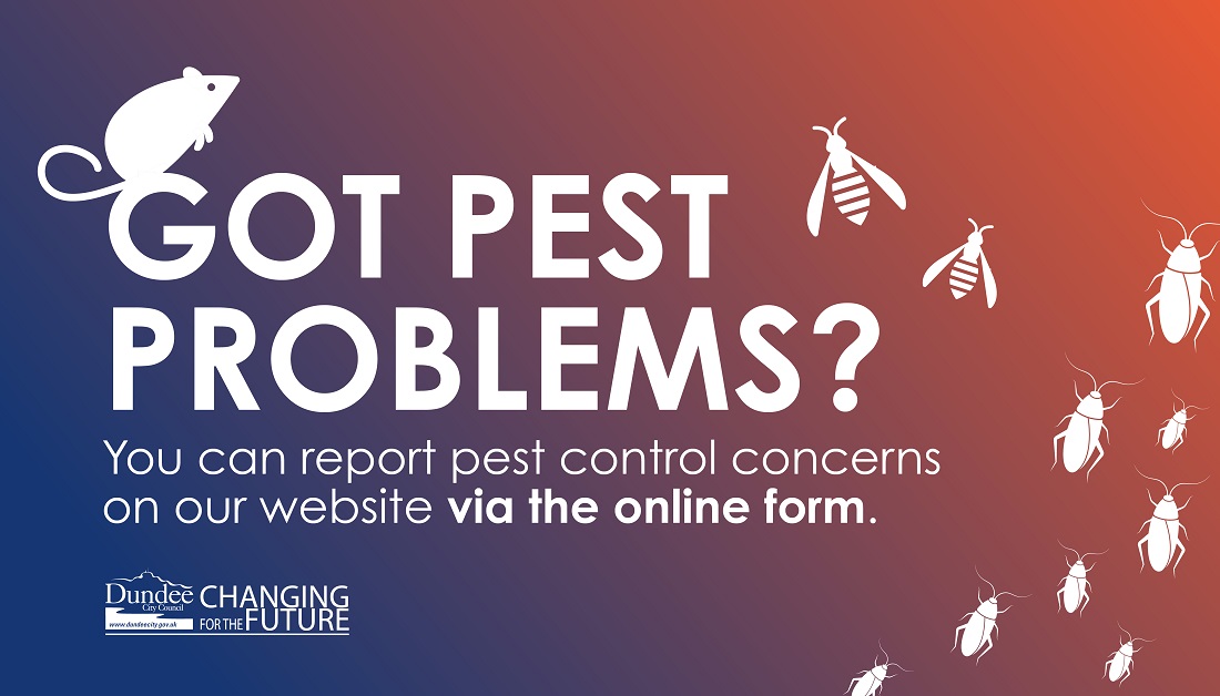 Our team of Pest Control Officers have a wide experience in delivering a full range of pest proofing and pest control treatments. Did you know that you can report pest control concerns online? All you have to do is complete this online form bit.ly/3pa7oe6