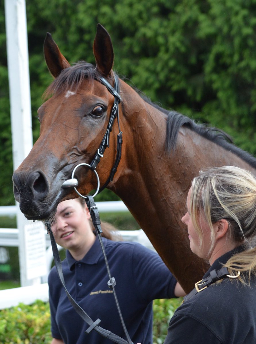 Elite Racing Club (@eliteracingclub) on Twitter photo Last night, Charmaine ran well to finish third in the 1m4f handicap <a href="/kemptonparkrace/">Kempton Park Racecourse</a> under Dan Muscutt. She defied being drawn in the widest stall and travelling into the race a little sooner than ideal to make the frame. She has been a star for Club Members this year and we hope Last night, Charmaine ran well to finish third in the 1m4f handicap <a href="/kemptonparkrace/">Kempton Park Racecourse</a> under Dan Muscutt. She defied being drawn in the widest stall and travelling into the race a little sooner than ideal to make the frame. She has been a star for Club Members this year and we hope