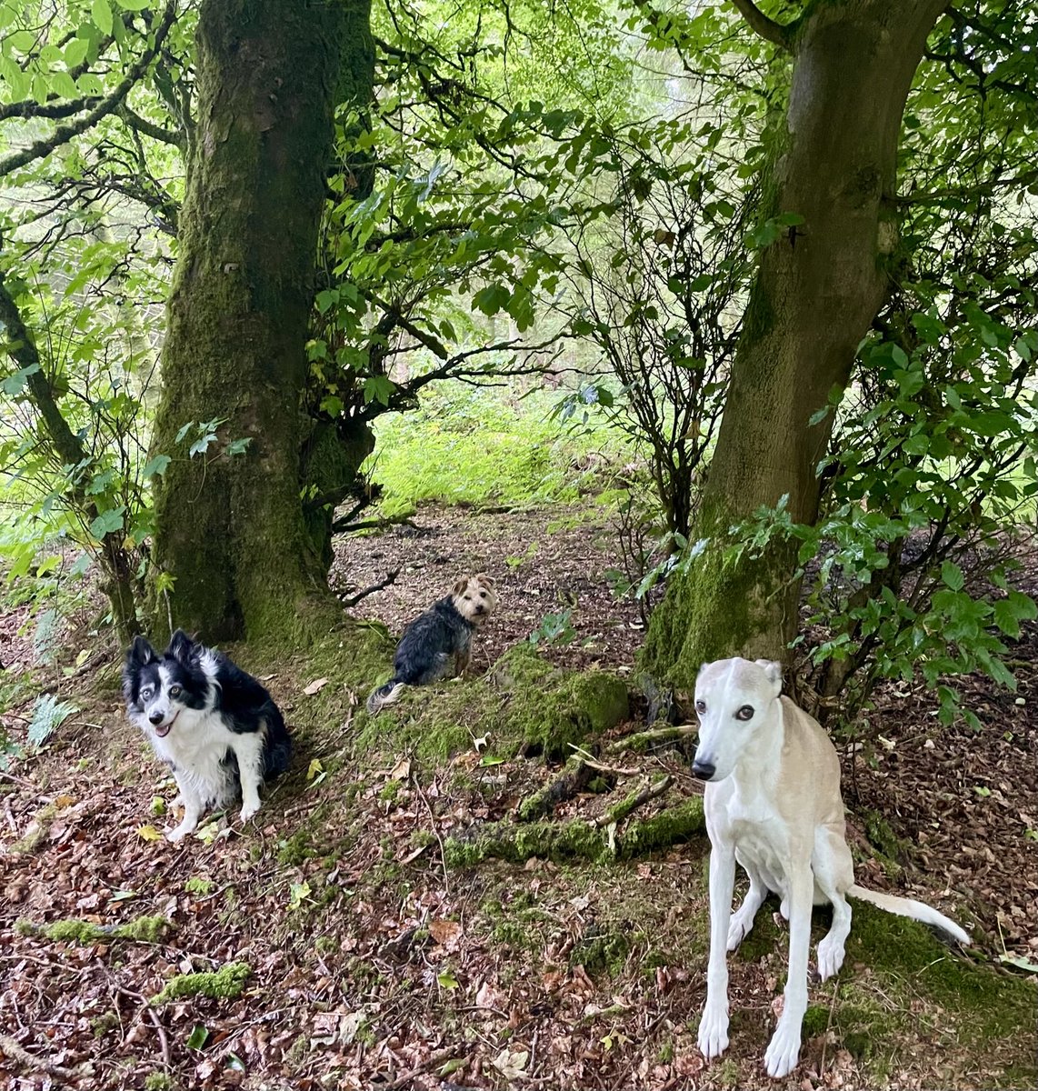 Got lucky yesterday when the heavens opened, close to a pub.👍🏼 Today no such luck, had to stay here for 40 minutes..