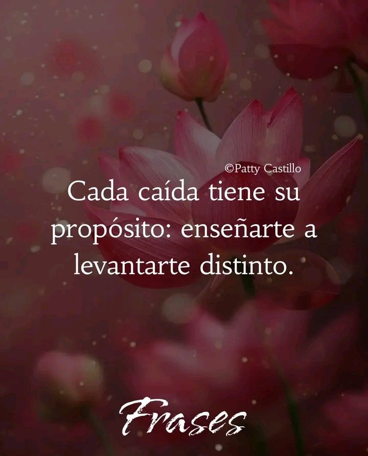 Jose David tweet media