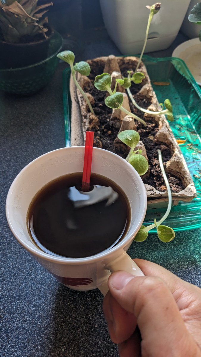 Hello everyone! Thoughts about this amazing #Friday ?? Today's #blackCoffee ☕  #Coffee  #TwoRedStirrers  #RetiredLife Make the most of your day.  #24Hour  gift #payitforward 
Be sure to take a moment today to #breathe Fireworks again tonight !!! Mother Nature 🇺🇸🎆🇺🇸🎇🇺🇸