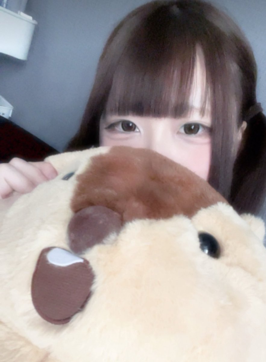 一昨日ゲーセンでゲトったクソデカマーモットと新生茶髪奴