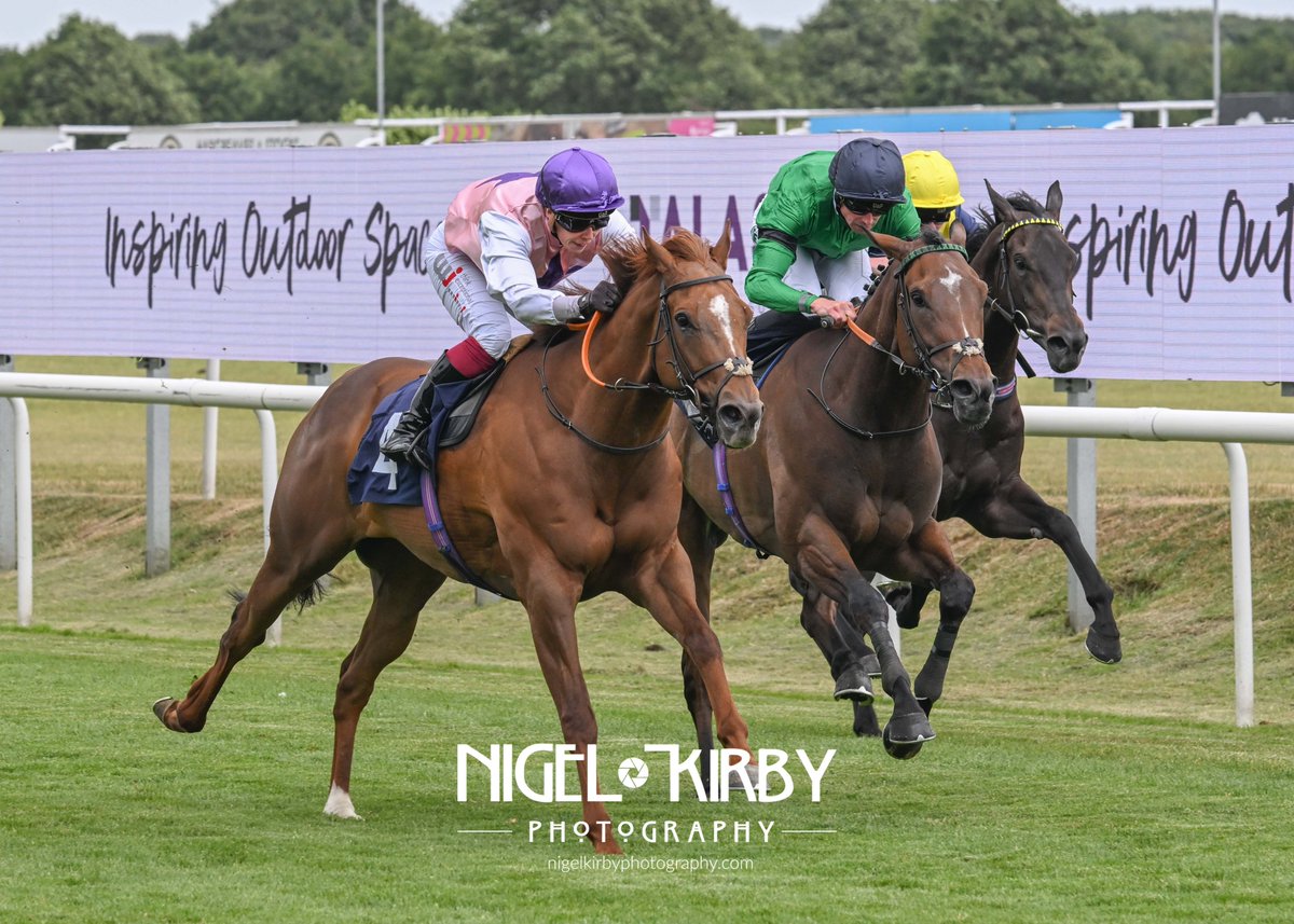 Nigel Kirby Photography (@nigekirby) on Twitter photo MUKER wins The Talasey Handicap Stakes at <a href="/DoncasterRaces/">Doncaster Racecourse</a> for <a href="/RacingNigel/">Nigel Tinkler Racing</a> and <a href="/FMcmanoman/">Faye mcmanoman</a> for Peter Blyth & Partner MUKER wins The Talasey Handicap Stakes at <a href="/DoncasterRaces/">Doncaster Racecourse</a> for <a href="/RacingNigel/">Nigel Tinkler Racing</a> and <a href="/FMcmanoman/">Faye mcmanoman</a> for Peter Blyth & Partner