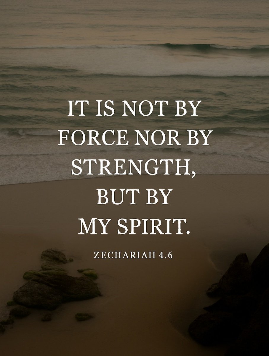 The Bible tweet media