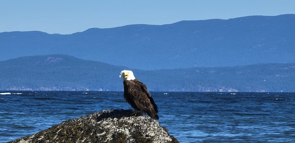 Happy 4th of July to all of our American Friends from Vancouver Island !