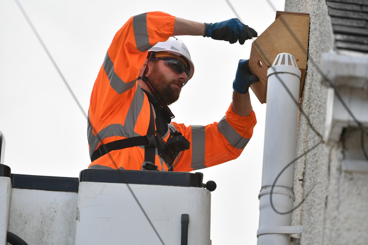 WeAreOpenreach's tweet image. We’re proud to team up with @rspb to help protect wildlife and preserve natural habitats! 

Check out our amazing engineers in Worcester lending a hand to install swift boxes for @swiftsweek—going above and beyond for our feathered friends!