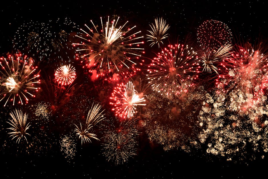 ❤️🤍💙Your friends at BVEF wish you a very happy and safe 4th of July holiday weekend!