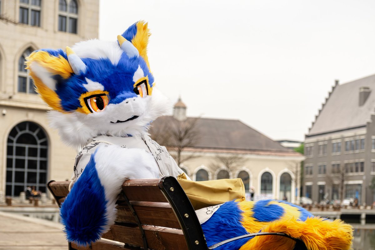 #FursuitFriday

灰白的天地间那一抹色彩
是幻想不羁触碰着你的梦

📸安琦ChiiAn