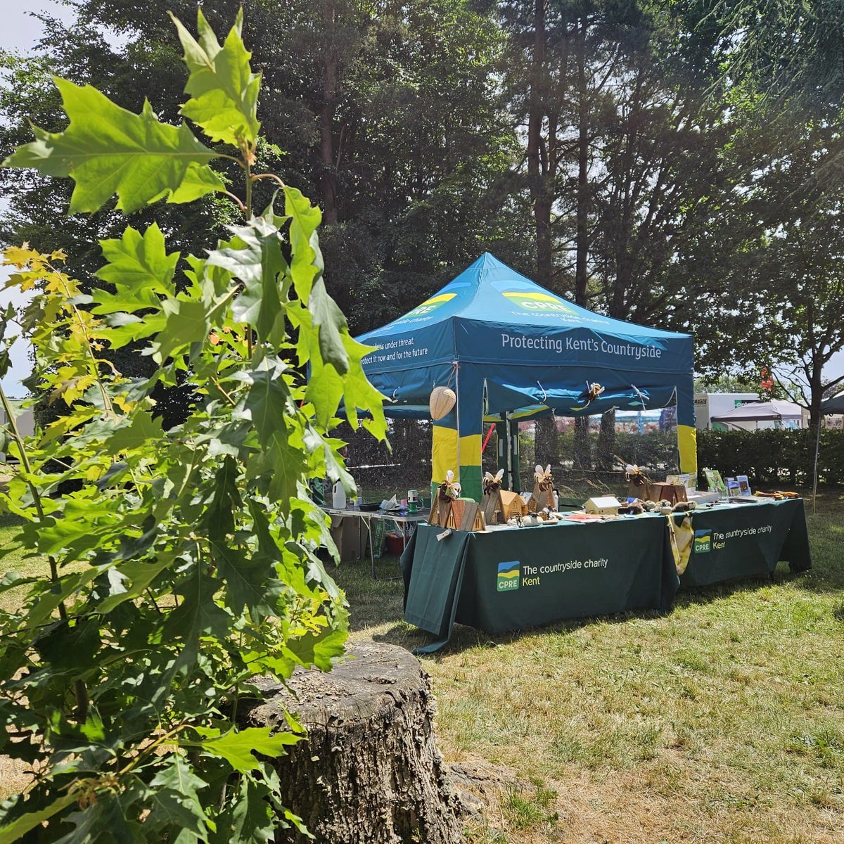 CPREKent's tweet image. Come over and see us in the woodland section of the Kent County Show - we're having a blast!
@kentcountyshow