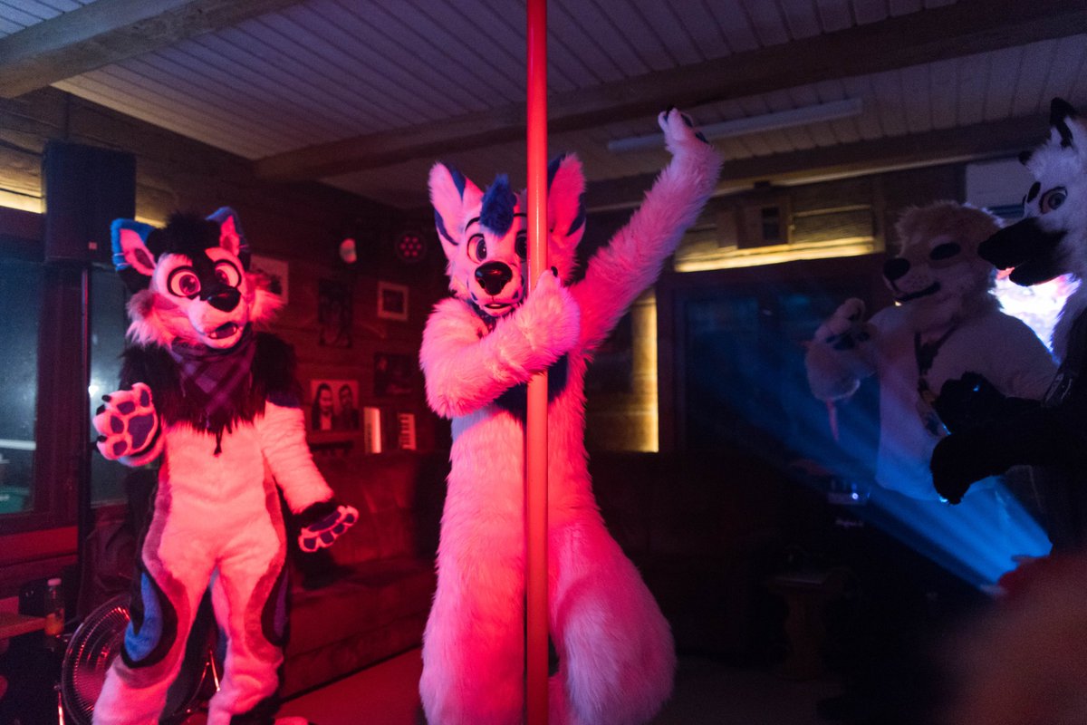 Lutu ππ (@lutufox) on Twitter photo When the music's slapping & vibes are up, you may see a fox dancing on the pole πͺ©
π· <a href="/KamuBat/">Kamuniak π¦</a> #FursuitFriday When the music's slapping & vibes are up, you may see a fox dancing on the pole πͺ©
π· <a href="/KamuBat/">Kamuniak π¦</a> #FursuitFriday